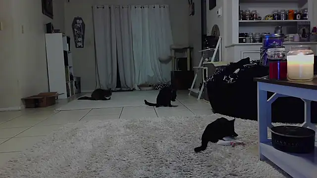 CrystalLakeXO online show from 10/19/25, 07:42