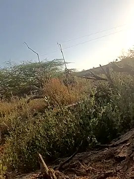 Snapshot of lovesuna chatting on 03/05/25, 02:25 lovesuna online show from 03/05/25, 02:25