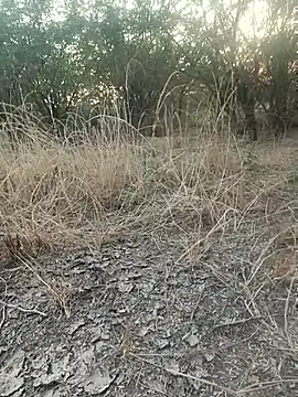 Snapshot of lovesuna chatting on 12/20/25, 02:07 lovesuna online show from 12/20/25, 02:07