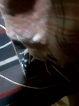 Rojatelugu89 online show from 01/08/26, 01:35