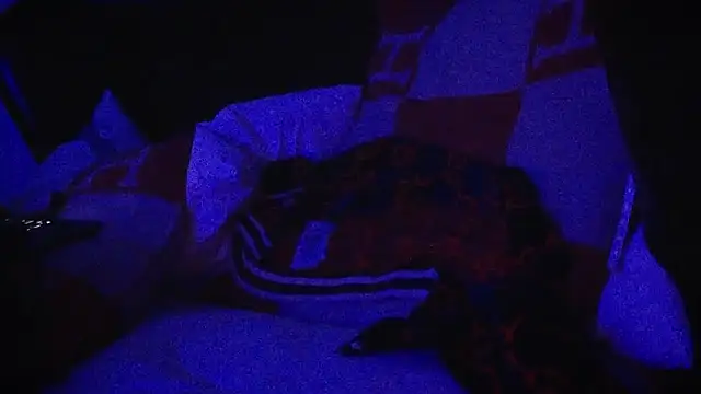 Snapshot of YouLikeBigDick9 chatting on 03/07/25, 07:41 YouLikeBigDick9 online show from 03/07/25, 07:41