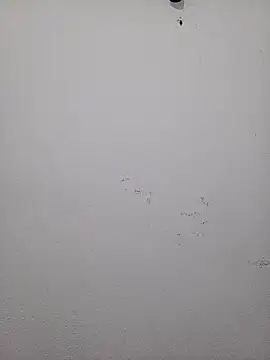 HombreS3n online show from 02/19/25, 03:28