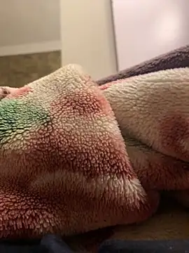 Snapshot of Gengista88 chatting on 02/15/26, 01:24 Gengista88 online show from 02/15/26, 01:24