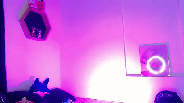 Snapshot of Gorrion__ chatting on 03/11/26, 03:12 Gorrion online show from 03/11/26, 03:12