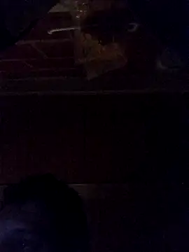 Snapshot of Elvergon3456 chatting on 10/28/25, 04:49 Elvergon3456 online show from 10/28/25, 04:49