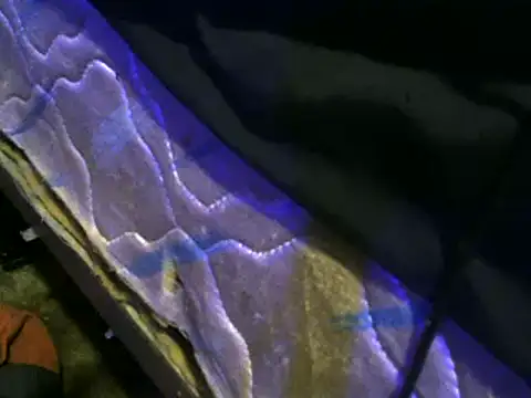 jaxx12369 online show from 02/01/25, 08:08