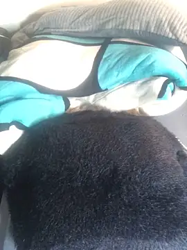 Snapshot of sexy_barbie254 chatting on 03/02/25, 11:53 sexy barbie254 online show from 03/02/25, 11:53