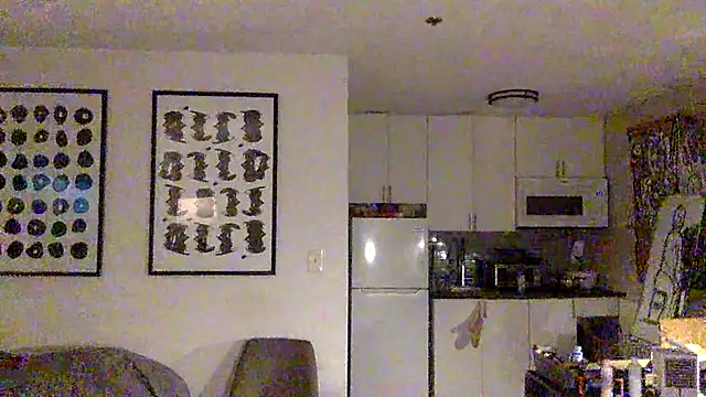 Snapshot of TheOnlyTwinTowers chatting on 04/13/26, 04:51 TheOnlyTwinTowers online show from 04/13/26, 04:51