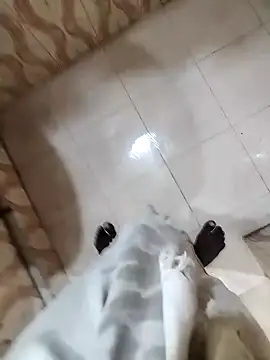 Snapshot of bas1cooks chatting on 12/22/24, 05:34 bas1cooks online show from 12/22/24, 05:34