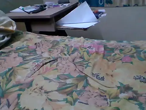 Snapshot of bas1cooks chatting on 09/27/25, 05:07 bas1cooks online show from 09/27/25, 05:07