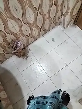 Snapshot of bas1cooks chatting on 09/30/25, 03:22 bas1cooks online show from 09/30/25, 03:22