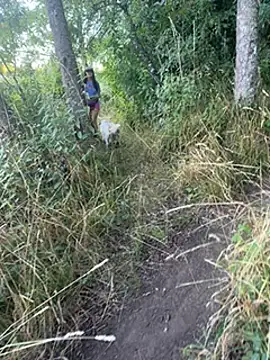 Reinacatchile online show from 01/31/25, 11:24