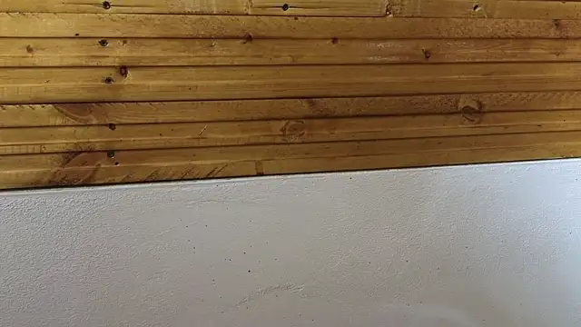 Snapshot of 00loret chatting on 02/20/25, 03:30 00loret online show from 02/20/25, 03:30