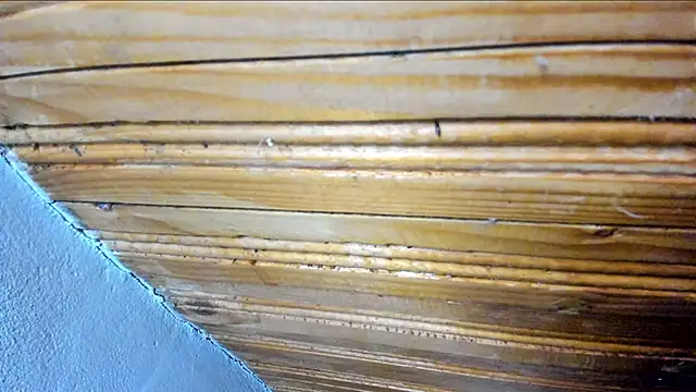 Snapshot of 00loret chatting on 02/21/25, 10:39 00loret online show from 02/21/25, 10:39