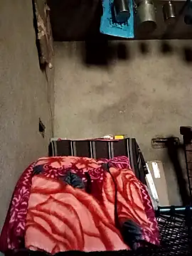 Yasha 14C Creator online show from 01/11/26, 05:45