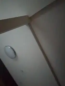 pnp0Japan online show from 02/27/25, 08:50