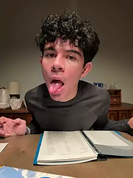 Stickmen online show from 12/31/24, 03:45