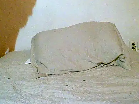 pollarikaaa online show from 12/14/25, 12:05