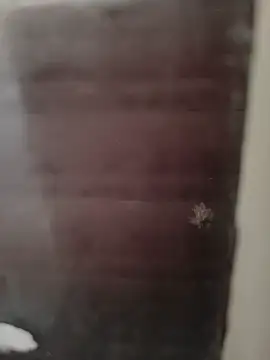 hardgetsex online show from 09/29/25, 09:08