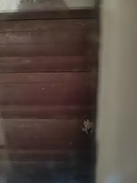 hardgetsex online show from 10/04/25, 04:05