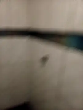 ladygmusic online show from 02/06/26, 08:51