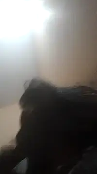 Sajal-03 online show from 12/01/24, 04:51