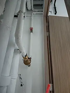 Snapshot of 2tomka52052sex chatting on 01/08/25, 07:03 2tomka52052sex online show from 01/08/25, 07:03