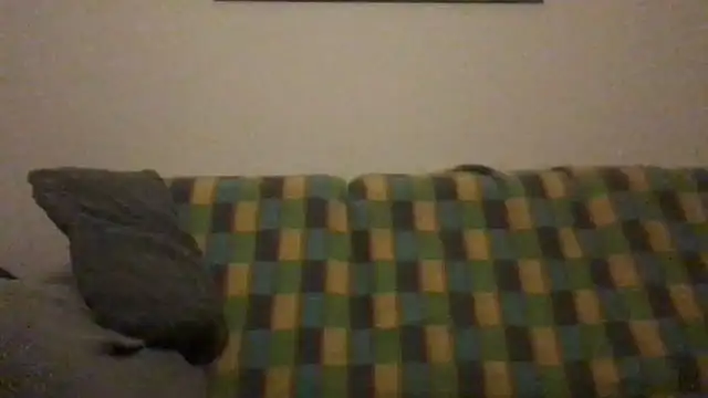 Totipro69 online show from 12/04/24, 10:19