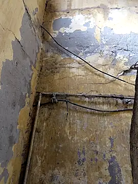 ListedLoin online show from 02/13/26, 08:32