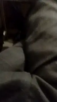 myhot1551 online show from 02/15/25, 04:25