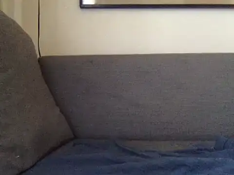 Snapshot of ___dude____ chatting on 01/29/25, 08:18    dude     online show from 01/29/25, 08:18