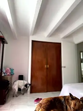 Snapshot of Salome_golvert chatting on 01/09/26, 03:48 Salome golvert online show from 01/09/26, 03:48