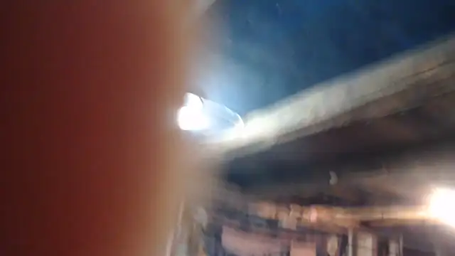 Newfiesausage1972 online show from 02/21/26, 09:27