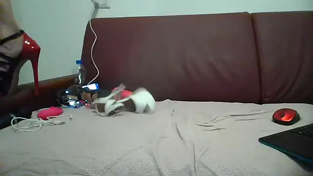 Danielasexy74 online show from 11/14/25, 04:38