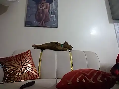 hoely grail01 online show from 04/07/26, 08:20