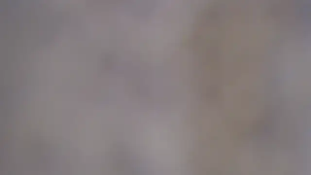 paiper halliwey online show from 02/08/25, 12:50