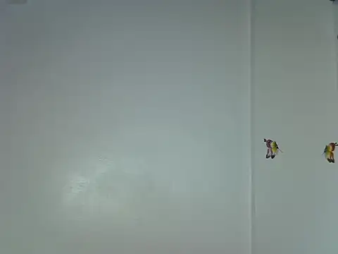 laetitia  online show from 01/15/26, 10:35