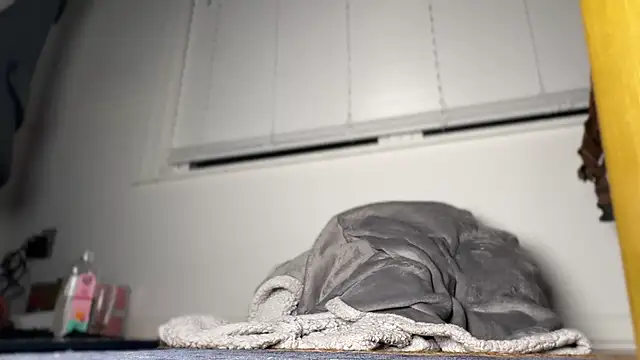 Snapshot of Theonlydreamybull chatting on 04/20/26, 04:37 Theonlydreamybull online show from 04/20/26, 04:37