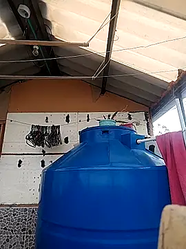 rebekka simpson online show from 10/16/25, 04:08