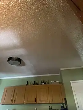 velvetta  online show from 12/02/24, 03:03