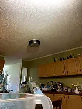 velvetta  online show from 12/17/25, 04:51