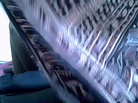 Snapshot of pointy_bloom chatting on 11/22/25, 03:33 pointy bloom online show from 11/22/25, 03:33