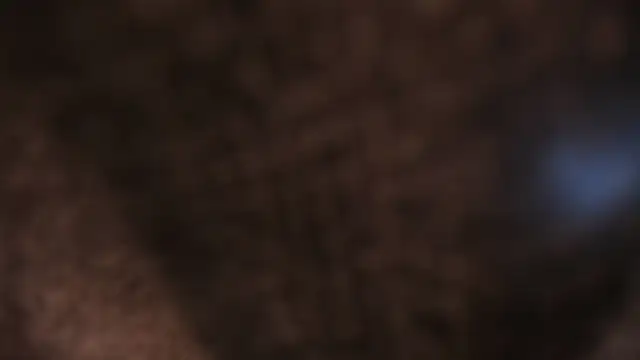 Snapshot of AliceHanz chatting on 01/08/26, 04:26 AliceHanz online show from 01/08/26, 04:26