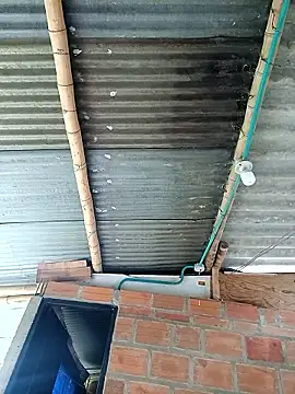 Snapshot of Janle_19c chatting on 12/06/24, 05:00 Janle 19c online show from 12/06/24, 05:00