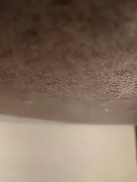 Snapshot of Alex_flair chatting on 03/17/26, 02:20 Alex flair online show from 03/17/26, 02:20