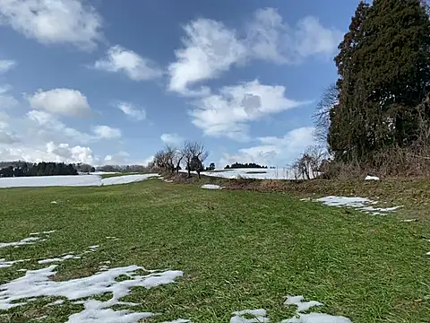 Snapshot of ge3noxxx chatting on 03/06/25, 12:43 ge3noxxx online show from 03/06/25, 12:43