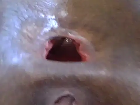 petitev online show from 12/17/24, 12:33