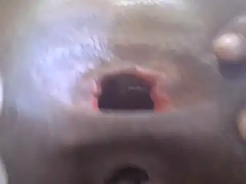 petitev online show from 01/02/25, 04:41