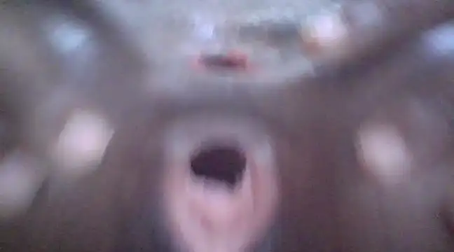 petitev online show from 01/03/25, 04:11