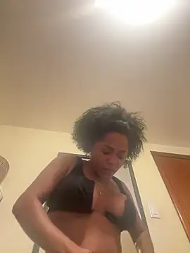 Noviostoxico online show from 12/19/25, 03:13